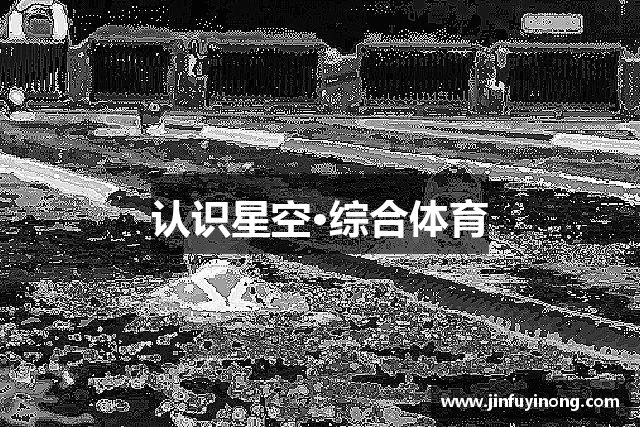 认识星空·综合体育